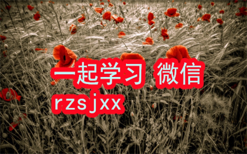 陈浩武讲哲学文明发展简史学习笔记