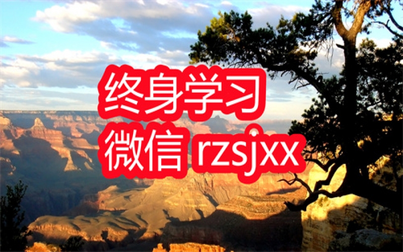 陈丹青《文学回忆录》的回忆学习笔记