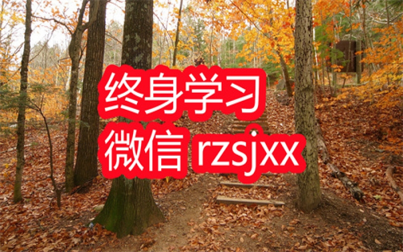 一段失踪的民国史黎光明的故事学习笔记