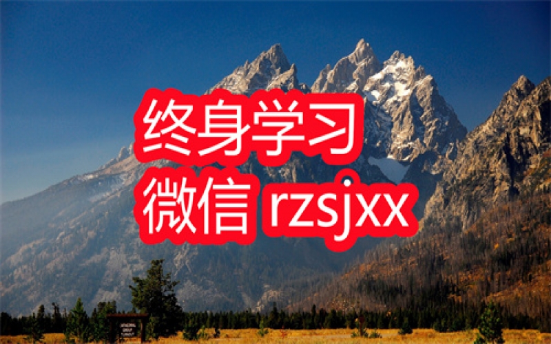 Excel图表小白到大神学习笔记