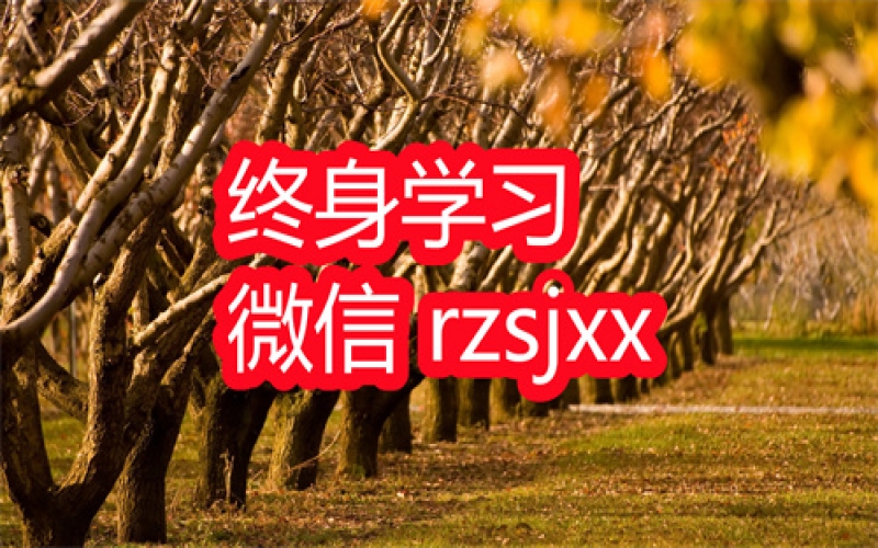 ChatGPT金融办公领域的应用学习笔记