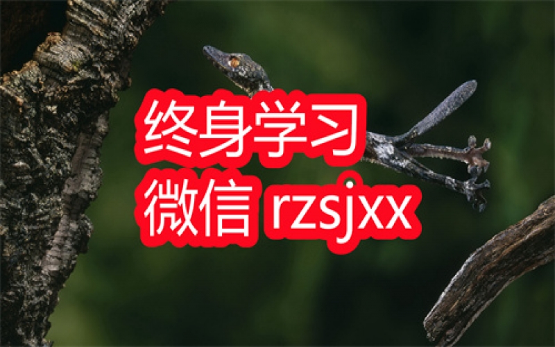 顾均辉5分钟定位思维学习笔记
