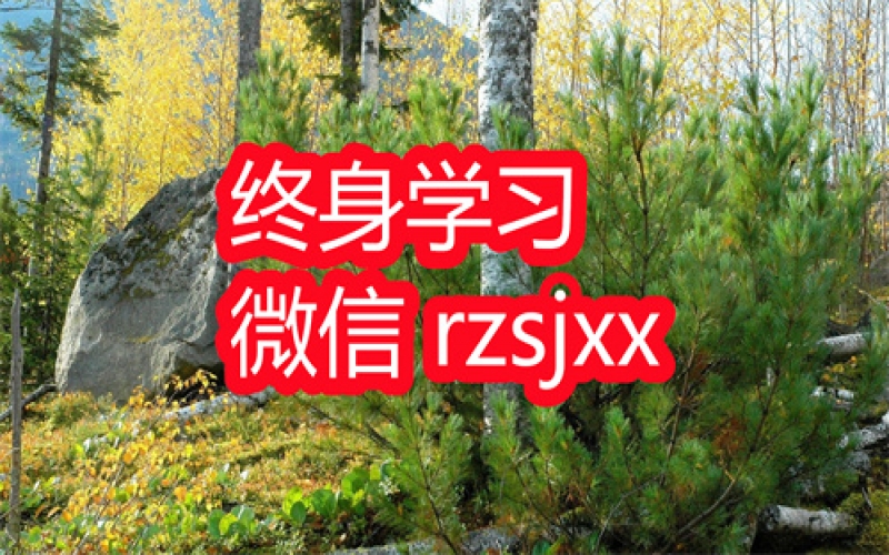 体制内人际关系之道学习笔记