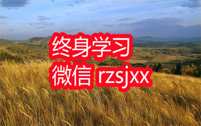 绩效增长官驱动绩效操盘手学习笔记